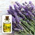 Lavender Lust Candle Fragrance