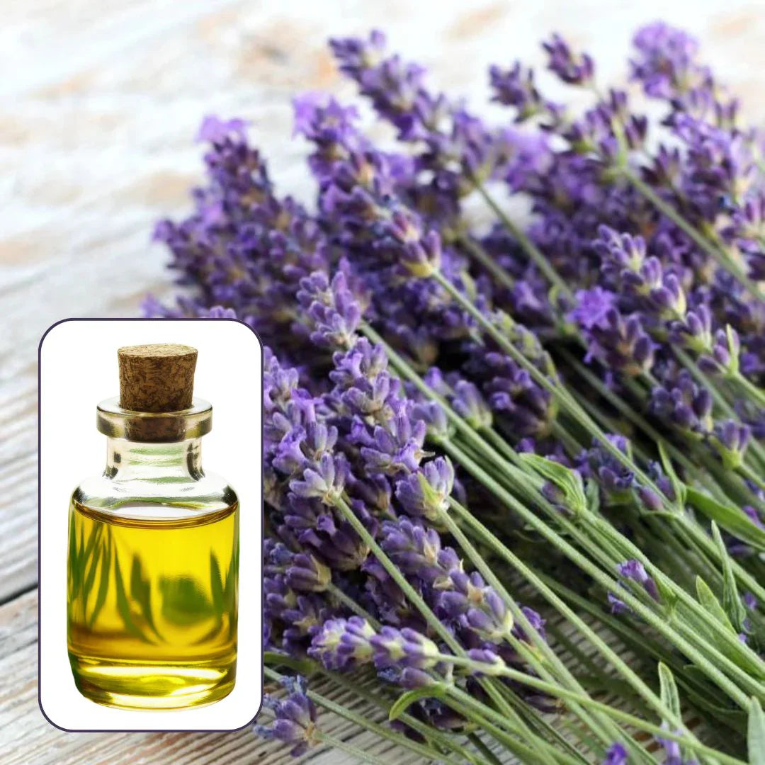 Lavender Lust Candle Fragrance